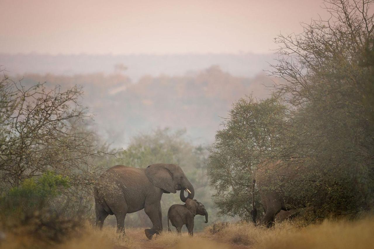 Tanda Tula Safari Camp Villa Timbavati Game Reserve Exterior photo