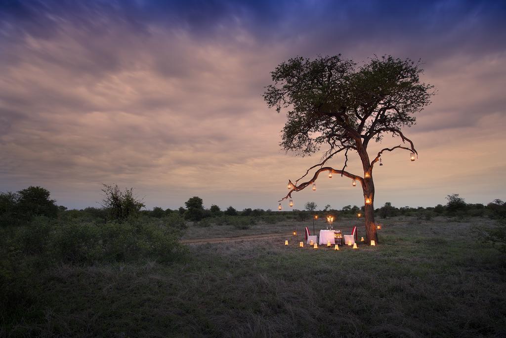 Tanda Tula Safari Camp Villa Timbavati Game Reserve Exterior photo