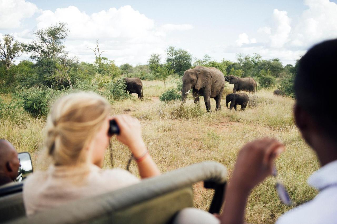 Tanda Tula Safari Camp Villa Timbavati Game Reserve Exterior photo